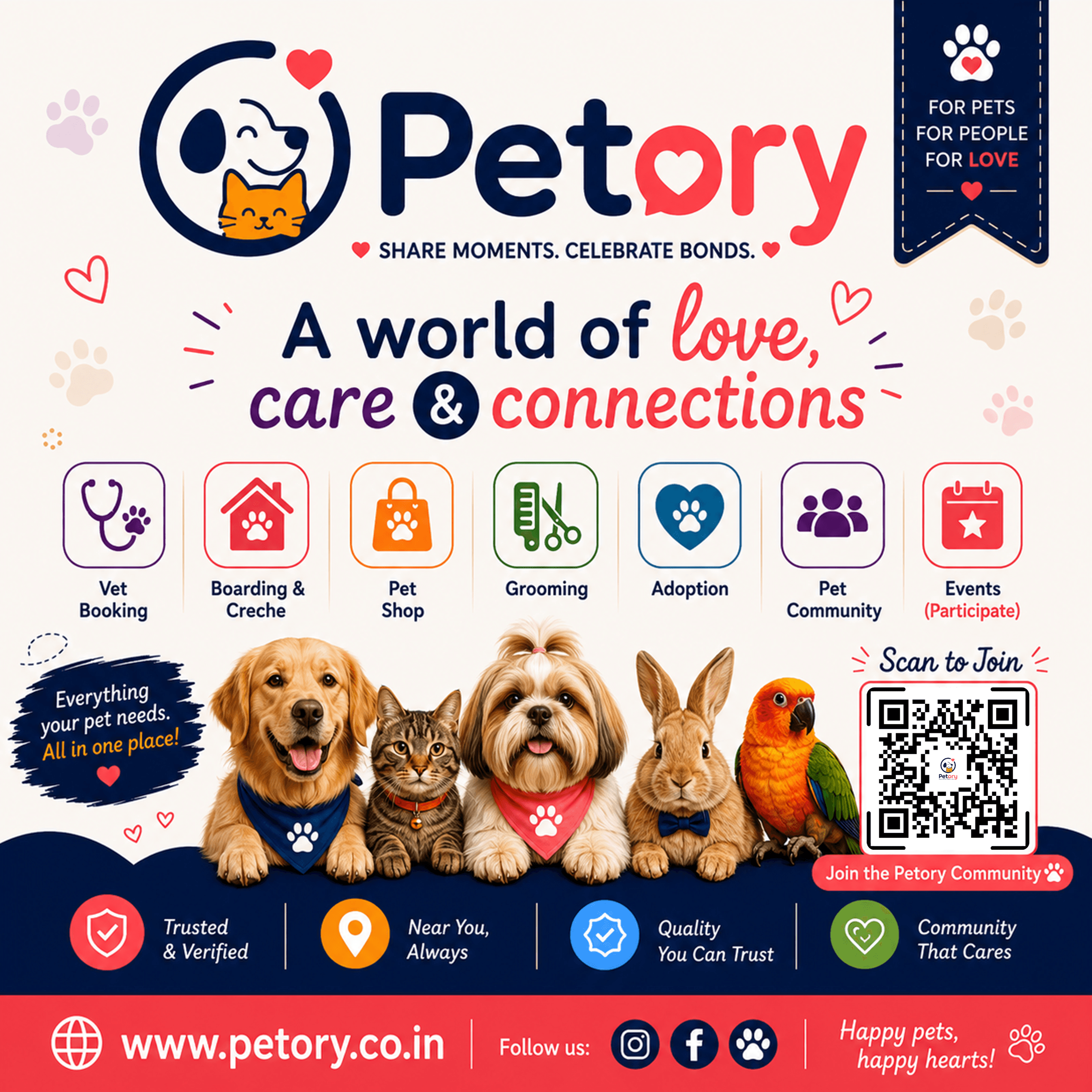 Petory promotional collage